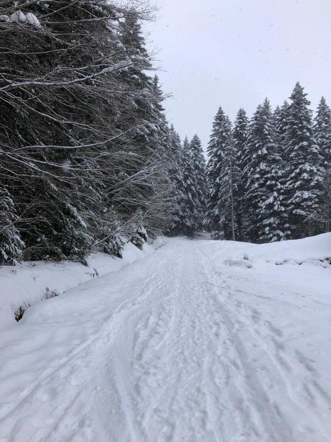 Studio Fondue Chocolat, 100M Des Pistes Wifi Fibre, Parking Prive Bernex Exteriör bild