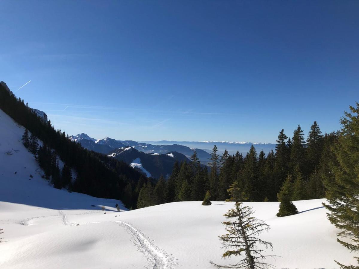 Studio Fondue Chocolat, 100M Des Pistes Wifi Fibre, Parking Prive Bernex Exteriör bild